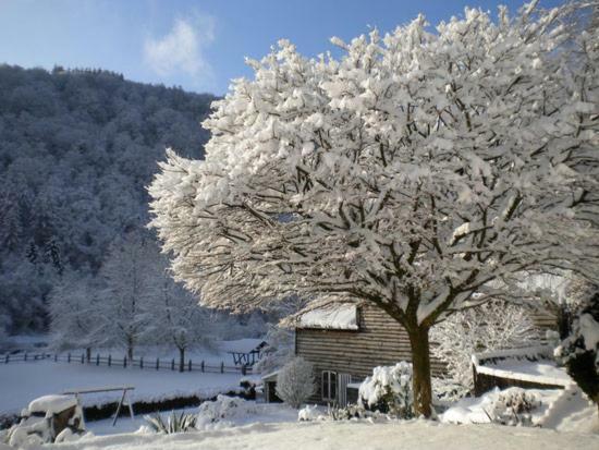 Les Demoiselles De La Semois Villa Poupehan ภายนอก รูปภาพ