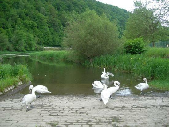 Les Demoiselles De La Semois Villa Poupehan ภายนอก รูปภาพ